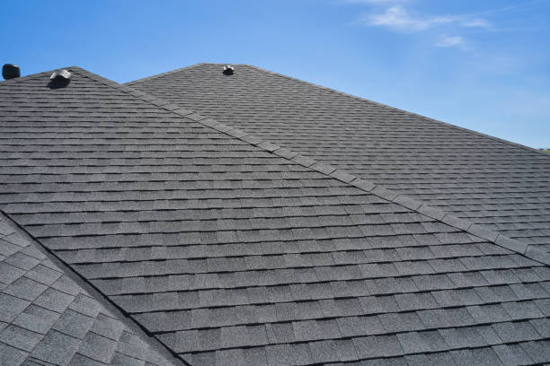 Best Roof Ventilation Installation  in Chevy Chase View, MD